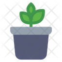 پیش‌نمایش فایل plant-pot-5486452 از پک کشاورزی