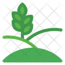 پیش‌نمایش فایل plantation-5486449 از پک کشاورزی