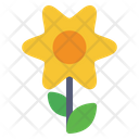 پیش‌نمایش فایل flower-5792141 از پک تعطیلات