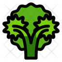 پیش‌نمایش فایل broccoli-9308354 از پک غذا و میوه