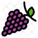 پیش‌نمایش فایل grapes-9308367 از پک غذا و میوه