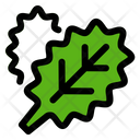 پیش‌نمایش فایل leafy-green-9308370 از پک غذا و میوه