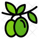 پیش‌نمایش فایل olive-branch-9308376 از پک غذا و میوه