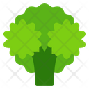 پیش‌نمایش فایل broccoli-9308295 از پک غذا و میوه