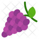پیش‌نمایش فایل grapes-9308308 از پک غذا و میوه