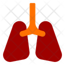 پیش‌نمایش فایل lungs-10000987 از پک سلامت و پزشکی