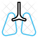 پیش‌نمایش فایل lungs-10001097 از پک سلامت و پزشکی