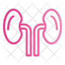 پیش‌نمایش فایل kidneys-10001142 از پک سلامت و پزشکی