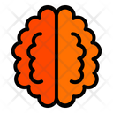 پیش‌نمایش فایل brain-10001014 از پک سلامت و پزشکی