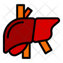پیش‌نمایش فایل liver-10001035 از پک سلامت و پزشکی