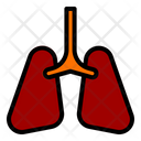 پیش‌نمایش فایل lungs-10001037 از پک سلامت و پزشکی