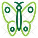 پیش‌نمایش فایل butterfly-11384569 از پک اکولوژی