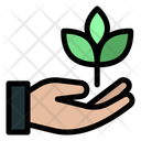 پیش‌نمایش فایل growing-11384537 از پک اکولوژی