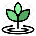 پیش‌نمایش فایل leaf-11384542 از پک اکولوژی