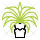 پیش‌نمایش فایل date-palm-11208697 از پک رمضان