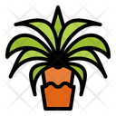 پیش‌نمایش فایل date-palm-11208607 از پک رمضان