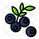 پیش‌نمایش فایل blue-berry-2064794 از پک میوه
