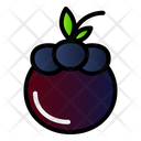 پیش‌نمایش فایل mangosteen-2064786 از پک میوه