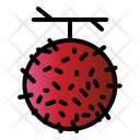 پیش‌نمایش فایل rambutan-2064774 از پک میوه