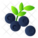 پیش‌نمایش فایل blue-berry-2064762 از پک میوه