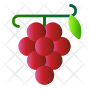 پیش‌نمایش فایل grape-2064736 از پک میوه