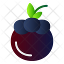 پیش‌نمایش فایل mangosteen-2064754 از پک میوه