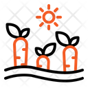پیش‌نمایش فایل carrot-2067362 از پک کشاورزی