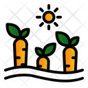 پیش‌نمایش فایل carrot-2067333 از پک کشاورزی