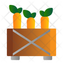 پیش‌نمایش فایل carrot-box-2067297 از پک کشاورزی