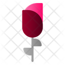 پیش‌نمایش فایل rose-2069841 از پک عروسی