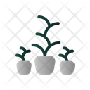 پیش‌نمایش فایل decoration-plant-2396044 از پک مبلمان و دکوراسیون منزل
