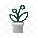 پیش‌نمایش فایل flower-pot-2396071 از پک مبلمان و دکوراسیون منزل