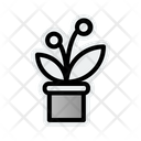پیش‌نمایش فایل flower-pot-2396344 از پک مبلمان و دکوراسیون منزل