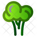 پیش‌نمایش فایل broccoli-2535987 از پک بهار