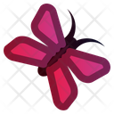 پیش‌نمایش فایل butterfly-2535985 از پک بهار