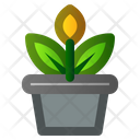 پیش‌نمایش فایل flower-pot-2535963 از پک بهار