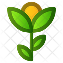 پیش‌نمایش فایل flowers-2535974 از پک بهار