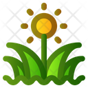 پیش‌نمایش فایل grass-2535970 از پک بهار