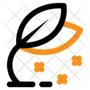 پیش‌نمایش فایل leaf-2536011 از پک بهار