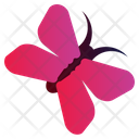 پیش‌نمایش فایل butterfly-2535915 از پک بهار