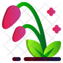 پیش‌نمایش فایل flower-2535905 از پک بهار