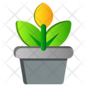 پیش‌نمایش فایل flower-pot-2535893 از پک بهار