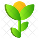 پیش‌نمایش فایل flowers-2535904 از پک بهار