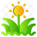 پیش‌نمایش فایل grass-2535900 از پک بهار