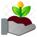 پیش‌نمایش فایل planting-2535899 از پک بهار