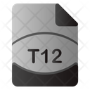 پیش‌نمایش فایل t12-file-2538262 از پک فرمت فایل داده