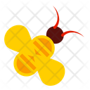 پیش‌نمایش فایل insect-2532955 از پک پاییز