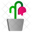 پیش‌نمایش فایل flower-plant-2539220 از پک تابستان