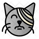 پیش‌نمایش فایل cat-injury-on-face-2788995 از پک دامپزشکی و حیوان خانگی