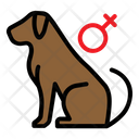 پیش‌نمایش فایل female-dog-2792895 از پک فروشگاه حیوانات خانگی